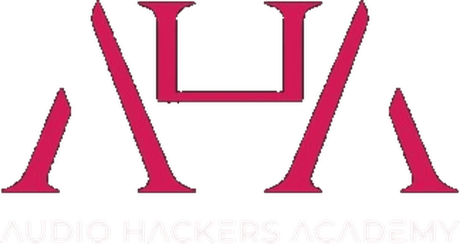 Audio Hackers